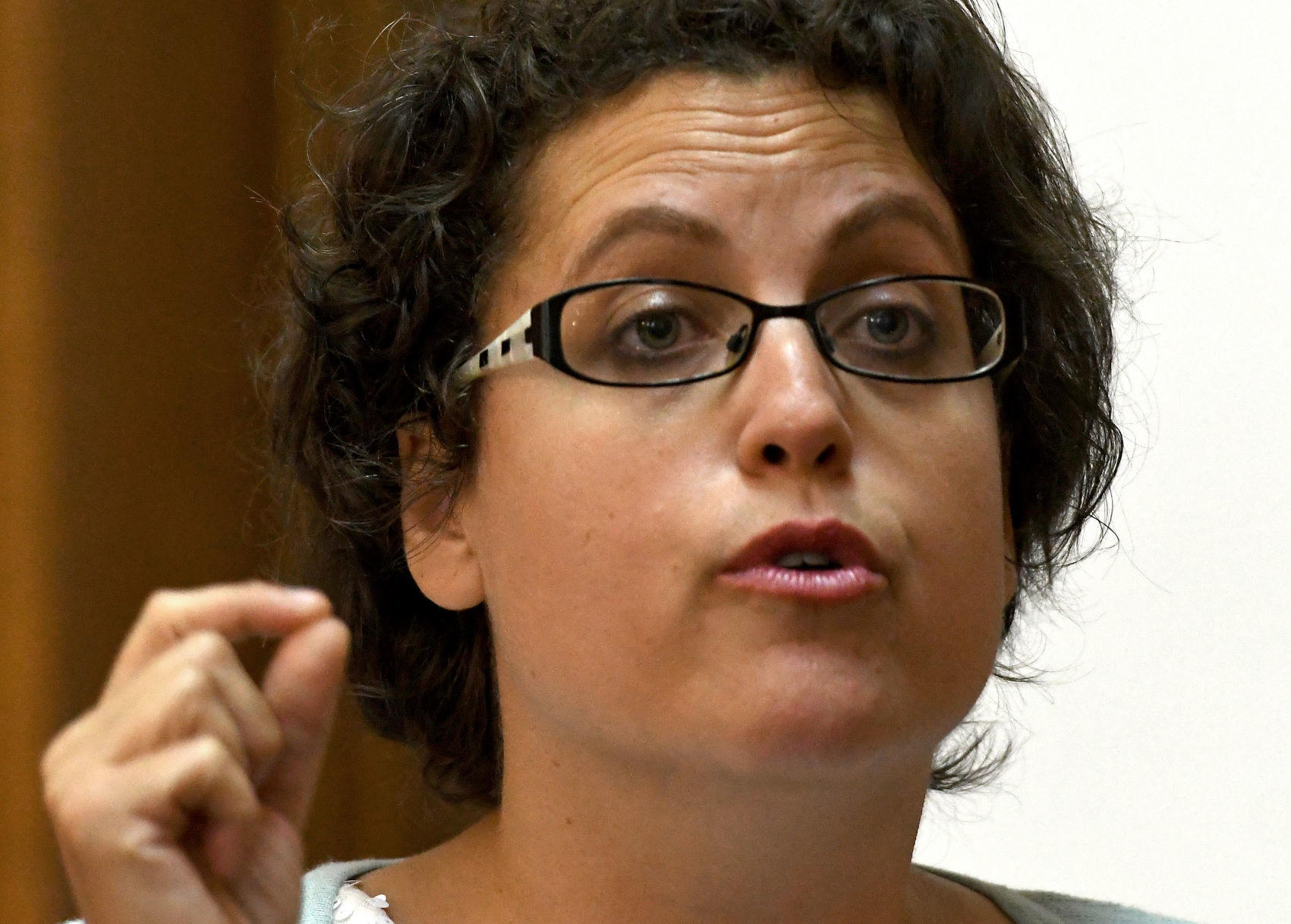 Dana Balter Town Hall 6.JPG